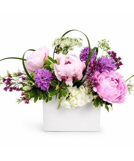 The Blush Peony Garden