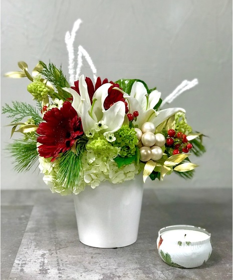 Holiday  with Seedlings