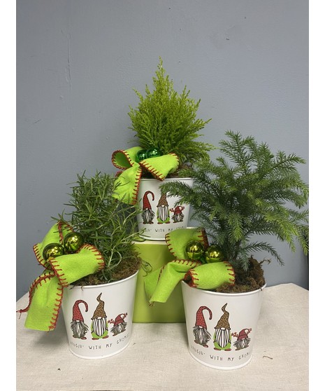 Gnome Christmas tree