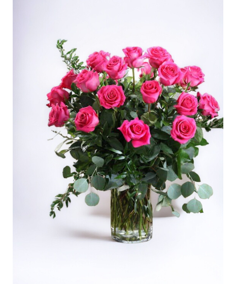 Hot Pink Roses