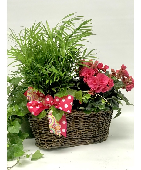 BASKET TRIO