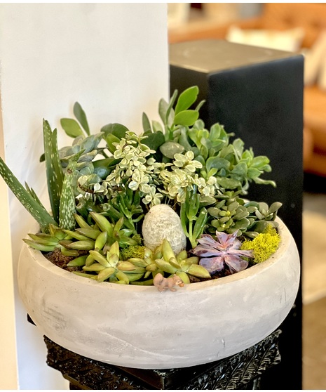 Succulent Garden in Stone