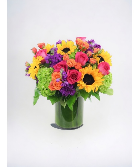Sunflower Supreme