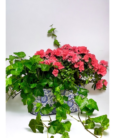 Delft Blue Planter