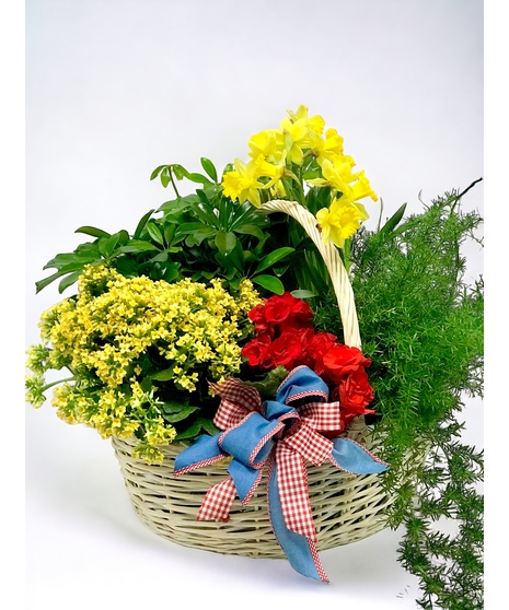 Seasonal Euro Garden