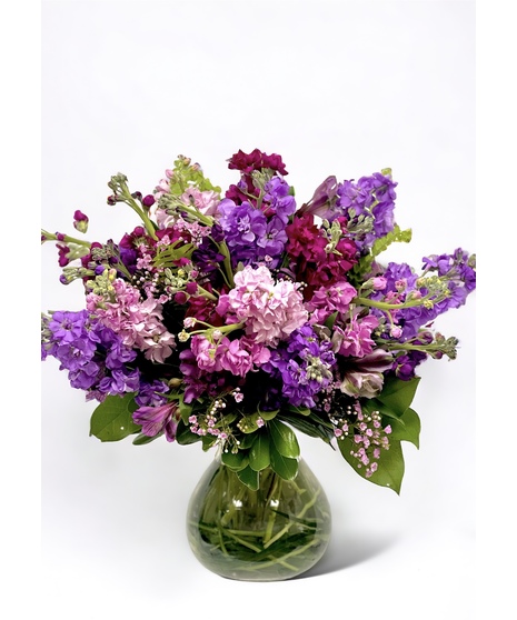 Lovely Lavender