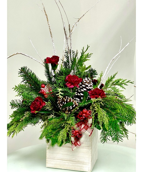 Evergreens - Mary Murray's Flowers