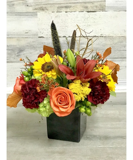 Fall Fusion