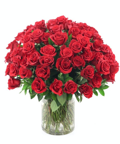 Yowza 100 Roses!