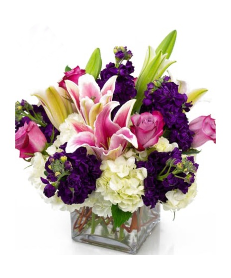 One Dozen Purple Roses | Tulsa OK Flower Delivery