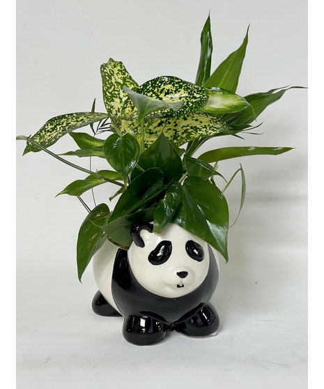 Panda Planter