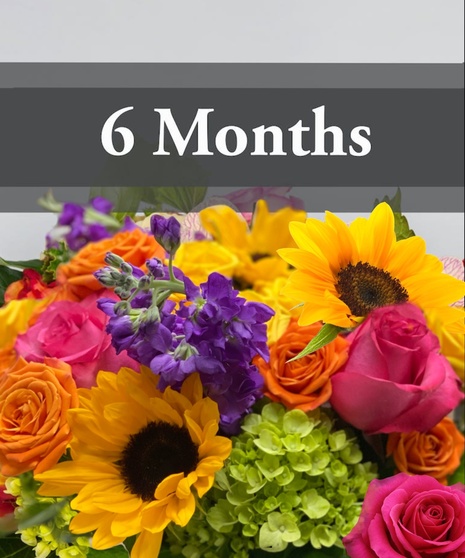 Six  Month Floral Subscription