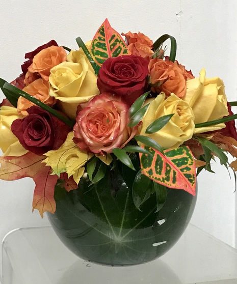 Fall Roses