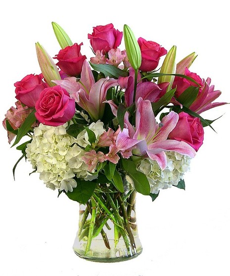Roses & Stargazers
