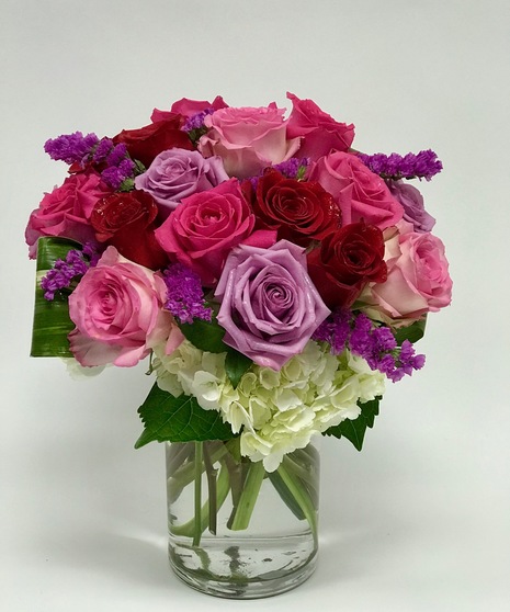 Romance Roses (Best Value)
