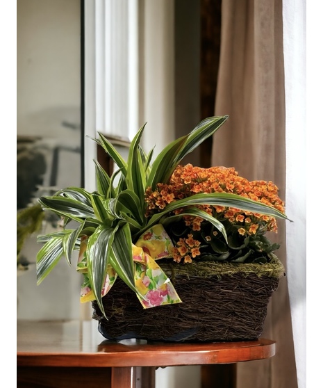 Blooming flowers and a green plant in a lovely basket.